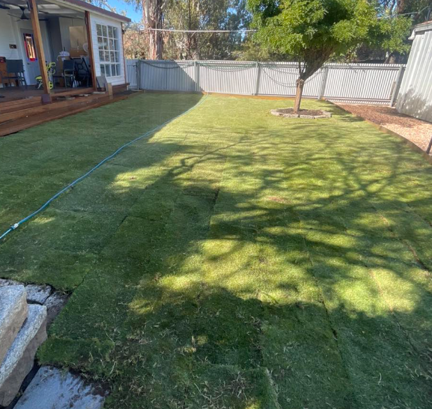 Gravel path and lawn edging